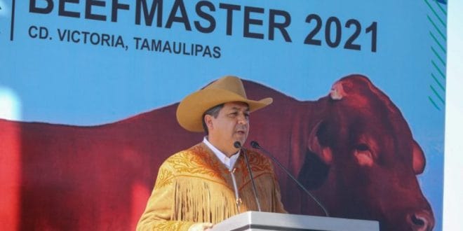 Dejan subastas ganaderas ganancias a Tamaulipas Dejan subastas ganaderas ganancias a Tamaulipas
