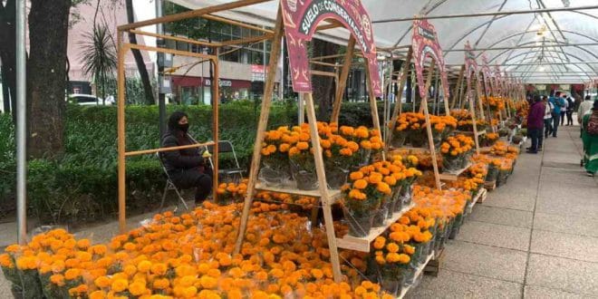 Inició la Feria del Cempasúchil en Paseo de la Reforma y Chapultepec