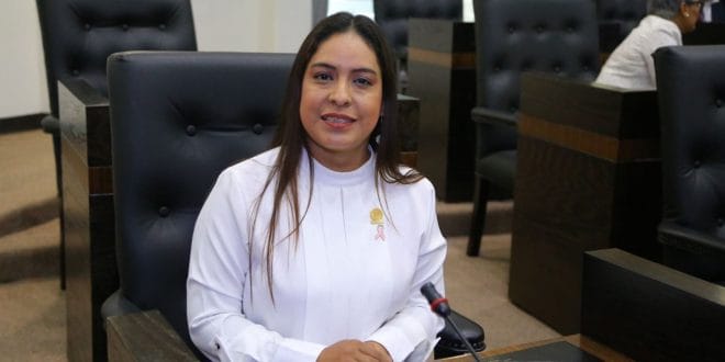 Presidirá Gaby Regalado comisión de cultura Presidirá Gaby Regalado comisión de cultura
