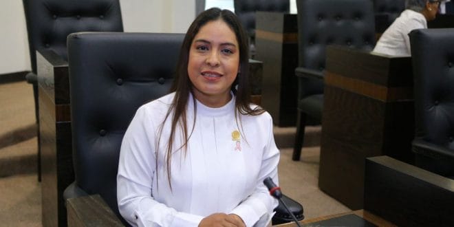 Presidirá Gaby Regalado comisión de cultura