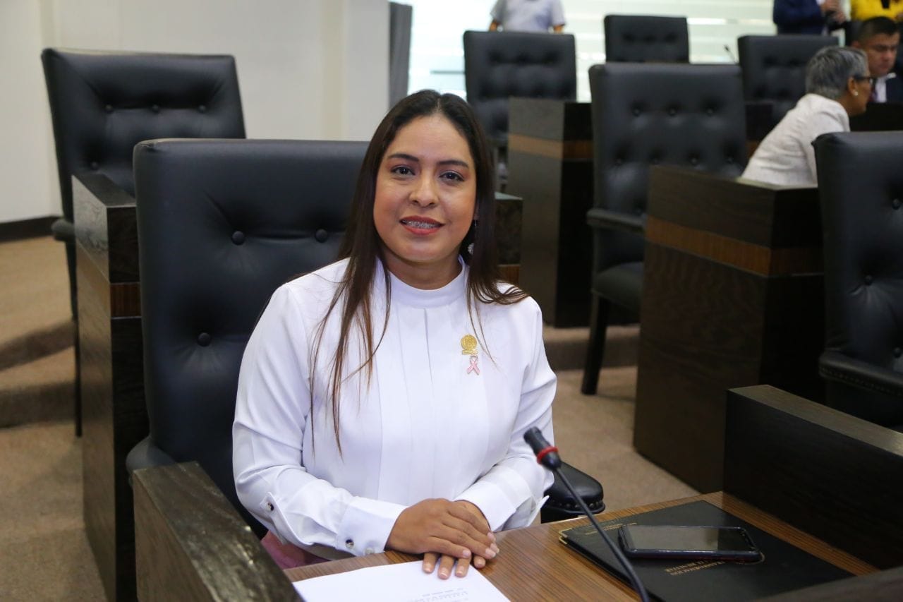 Presidirá Gaby Regalado comisión de cultura