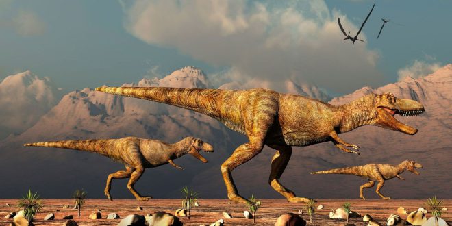 Un experto explica por qué el T-Rex tenía los brazos tan cortos
