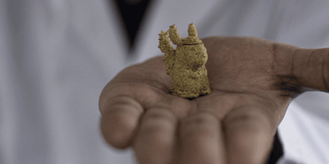 Imprimen comida en 3D a base de alga