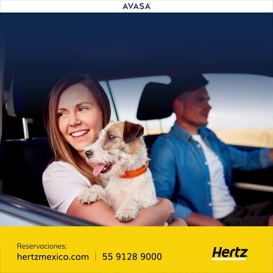 Ofrece arrendamiento de autos pet friendly