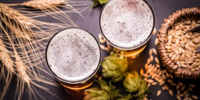 Beneficia producción de cerveza a más de 100 actividades económicas en México Beneficia producción de cerveza a más de 100 actividades económicas en México
