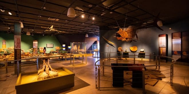 RETOMAN ACTIVIDADES LOS MUSEOS DE NUEVO LAREDO RETOMAN ACTIVIDADES LOS MUSEOS DE NUEVO LAREDO