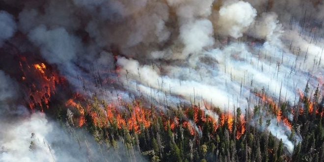 Canadá: cambio de clima da esperanzas en combate a incendios