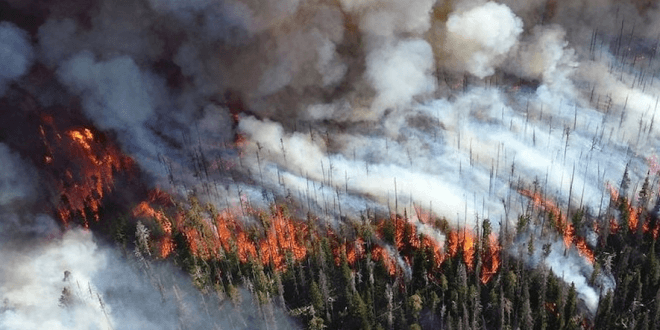 Canadá: cambio de clima da esperanzas en combate a incendios Canadá: cambio de clima da esperanzas en combate a incendios