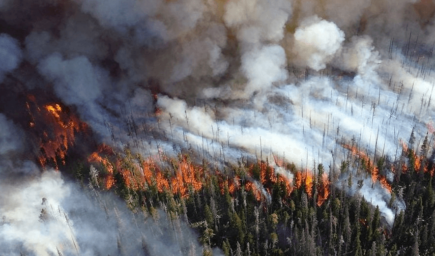 Canadá: cambio de clima da esperanzas en combate a incendios