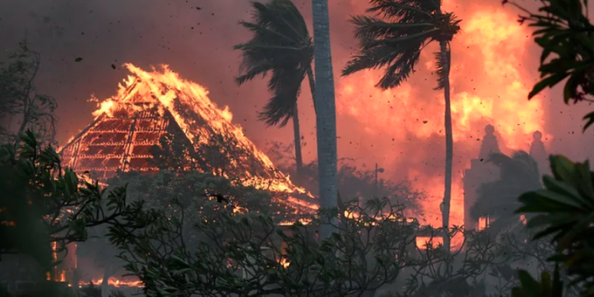 Incendios en Hawái: el peor desastre natural del último siglo en Estados Unidos