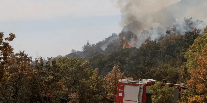 Grecia enfrenta el incendio más grande del que se tenga registro en la Unión Europea