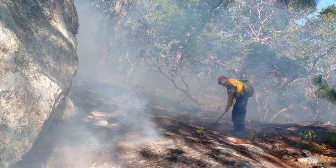 Protección Civil Tamaulipas y CONAFOR extinguen incendio forestal en San Carlos