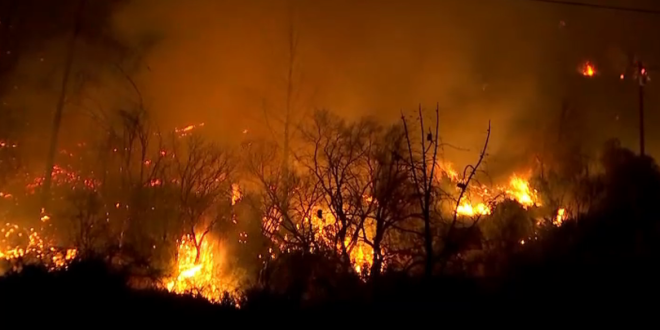 Incendio forestal en Texas obliga a evacuar a residentes