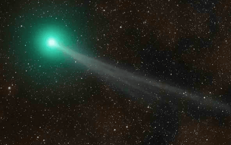 Cometa ‘Nishimura’, recién descubierto, podrá ser visto desde la Tierra esta semana