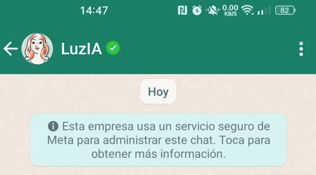 ¿Cuál es el número para hablar con LuzIA? La inteligencia artificial de WhatsApp