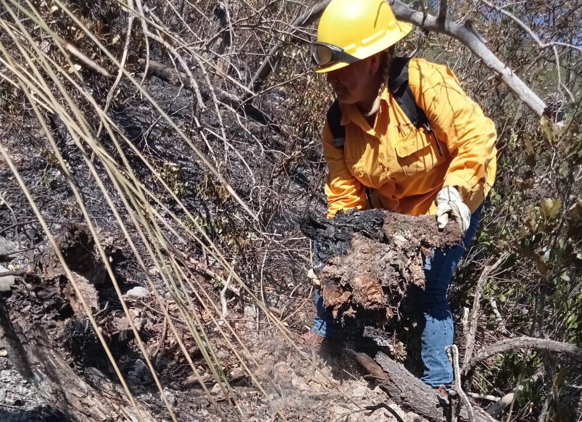 Colaboran brigadistas de la SEDUMA en contención de incendio forestal en Jaumave