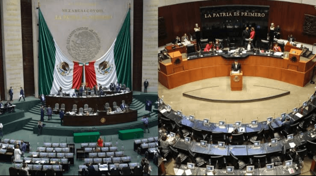 Definen reparto legislativo