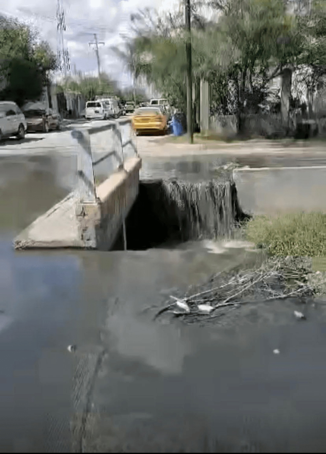 Familias de la colonia Voluntad 4 denuncian fuga de aguas negras: Realidad contrasta con discurso oficial