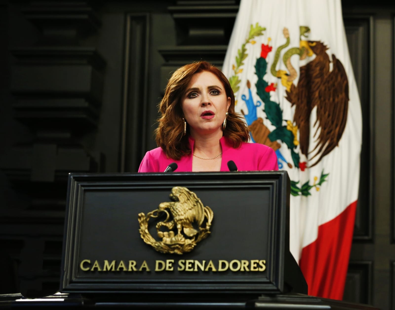 Señala Senadora Imelda Sanmiguel a los traidores de la patria