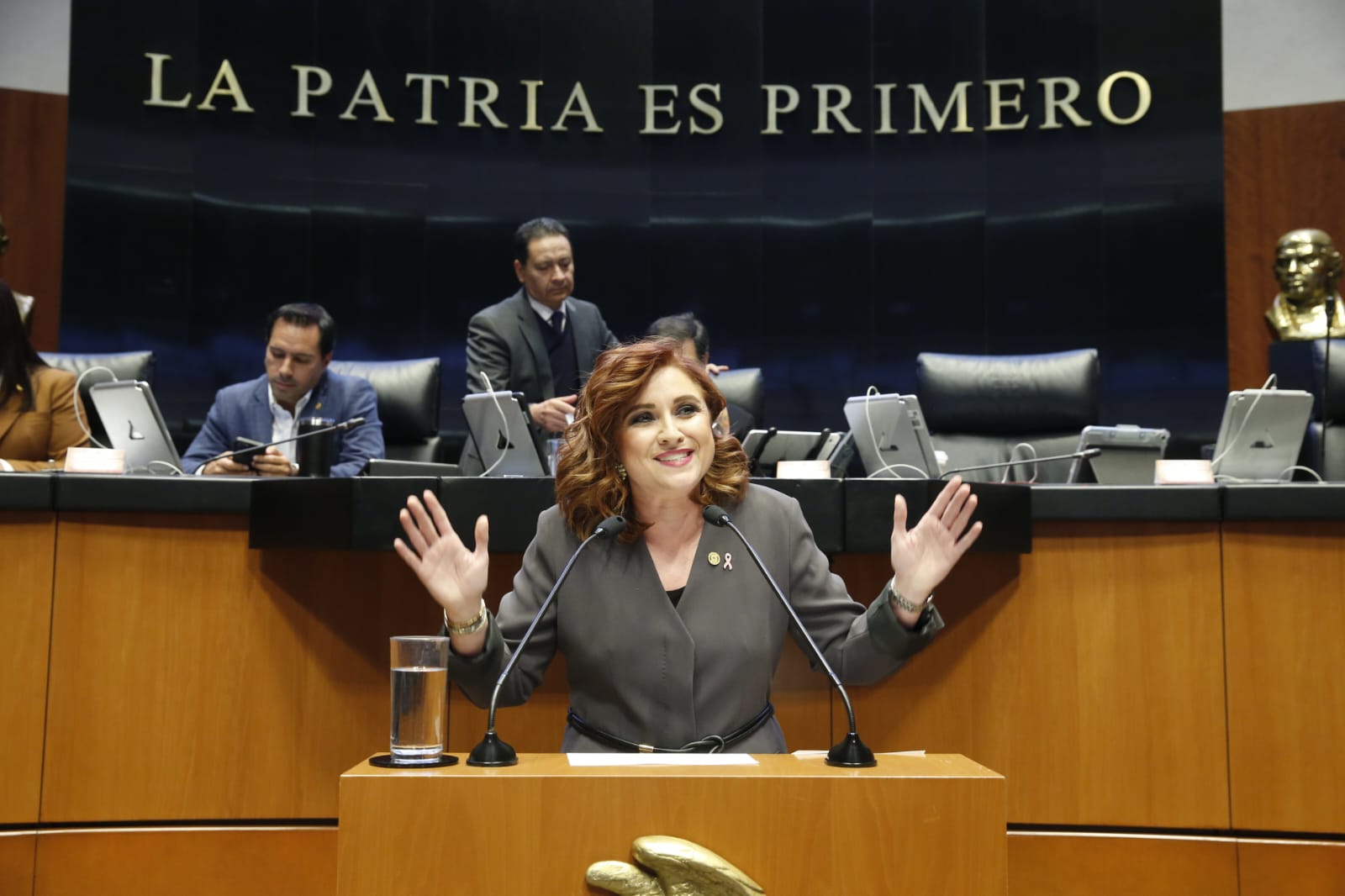 Lamenta senadora Sanmiguel el riesgo en el que están las libertades
