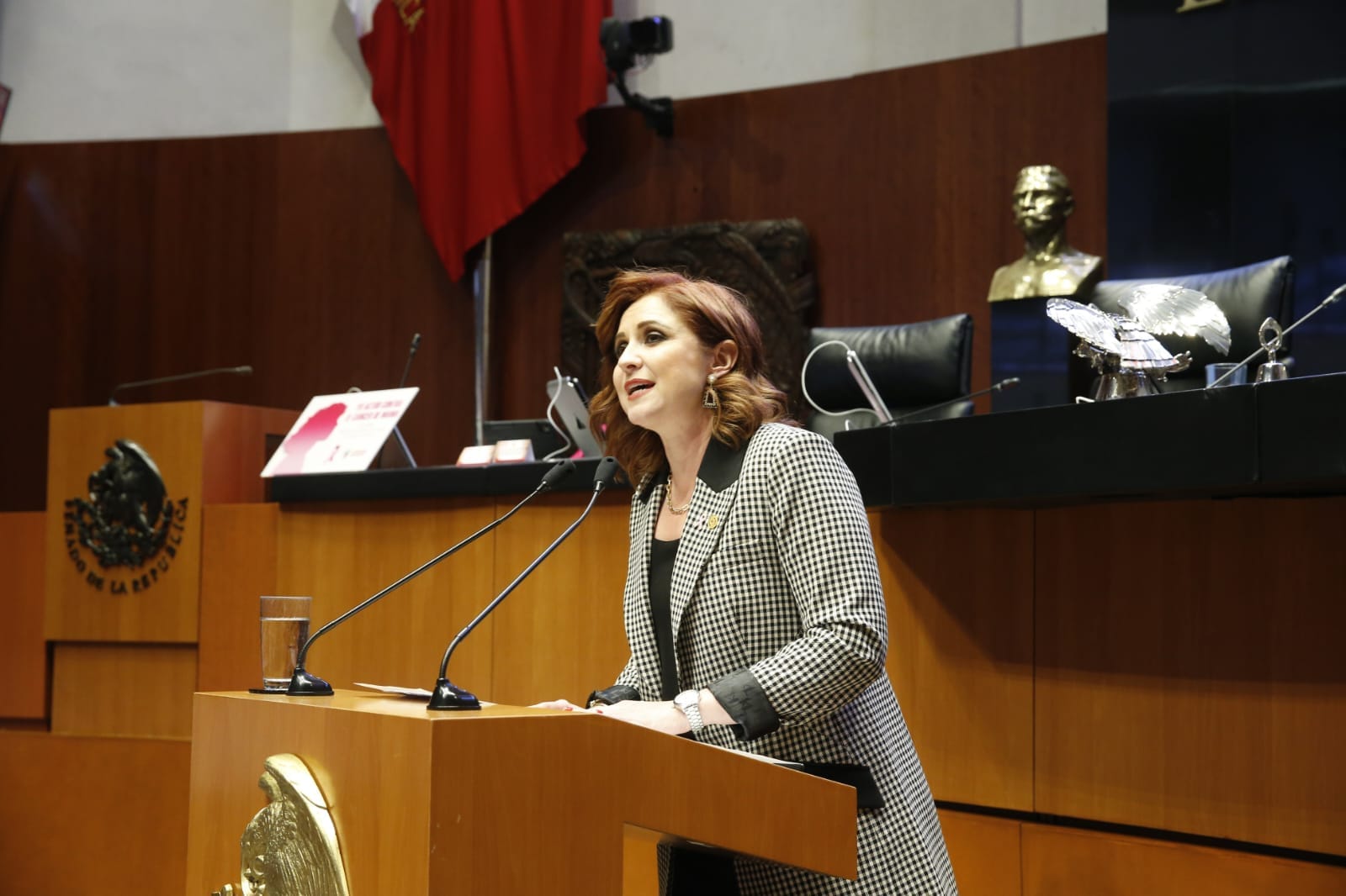 Expresa Senadora Imelda Sanmiguel preocupación por Reforma Energética