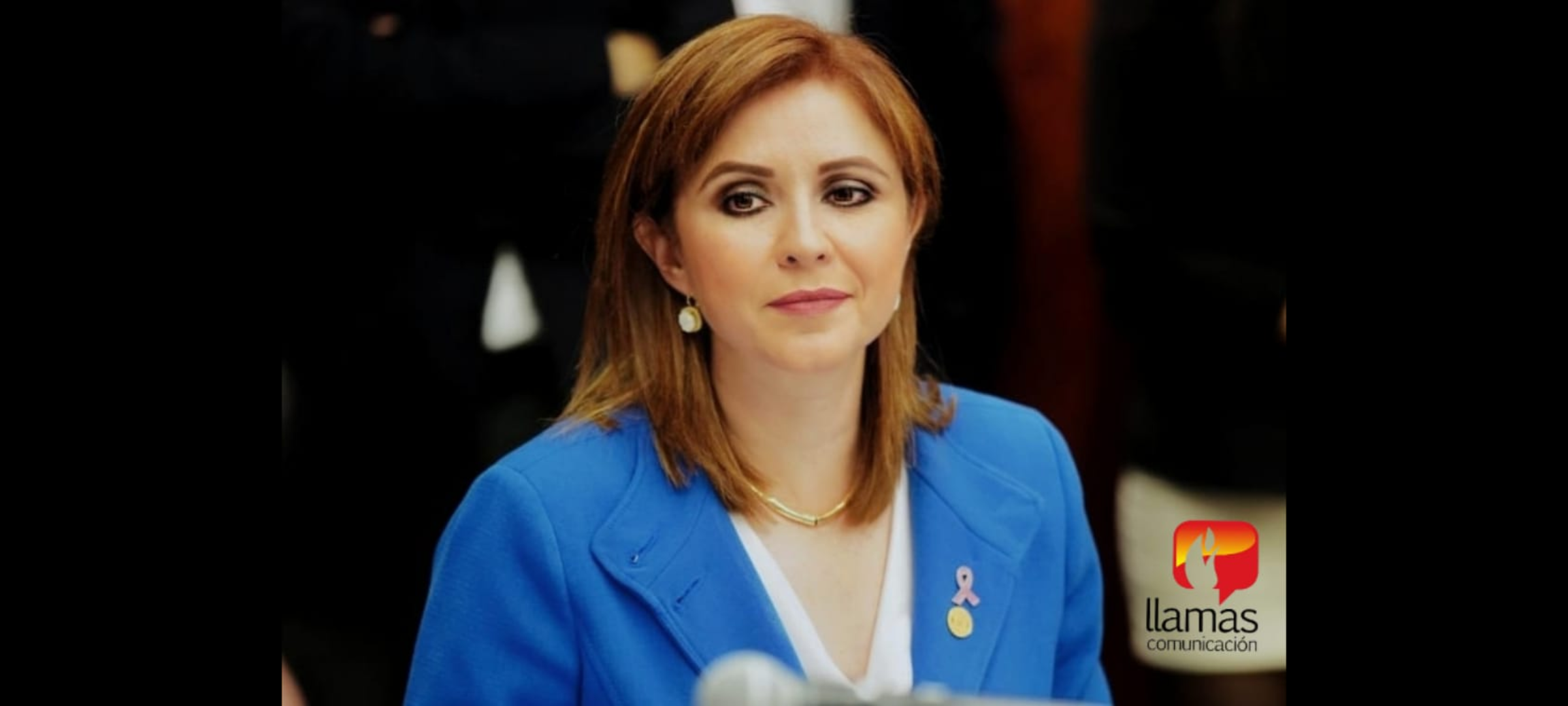 Presenta Imelda Sanmiguel minuta para reestablecer Agente Aduanal sustituto