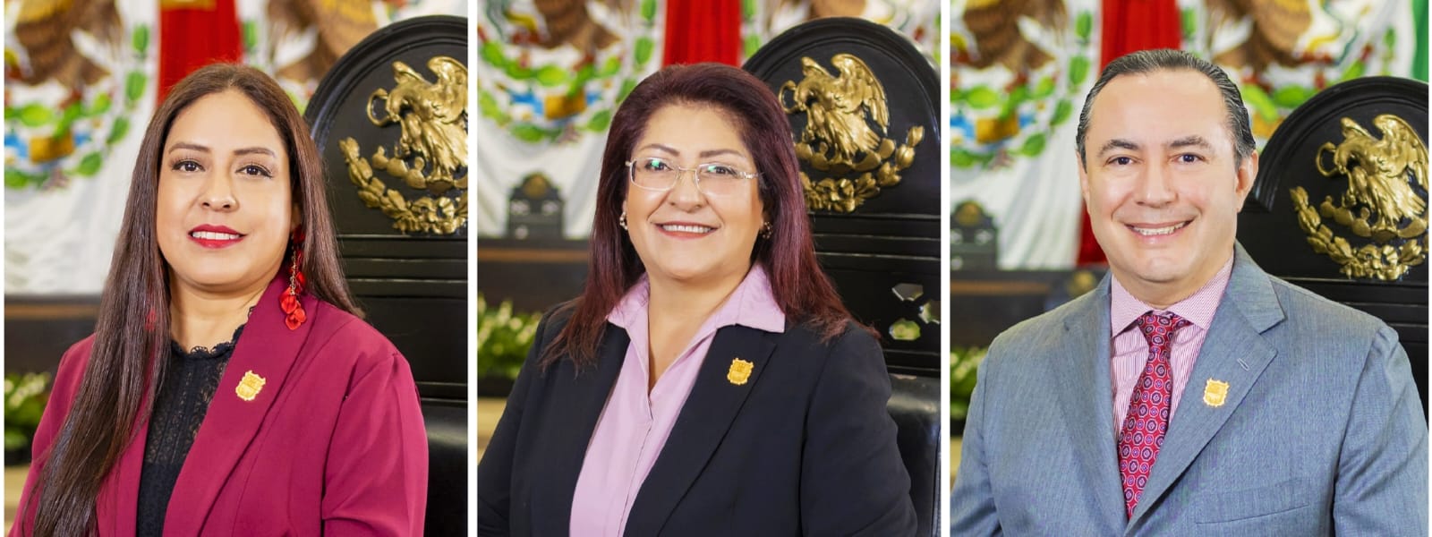 ¿Quién podrá defendernos si Carmen Lilia Canturosas, los regidores y diputados de Morena y el Verde, locales y federales, aprueban iniciativas que atentan contra la ciudadanía?