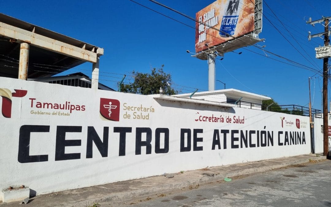 Nuevo Laredo en riesgo de brote de rabia por abandono del Centro de Atención Canina