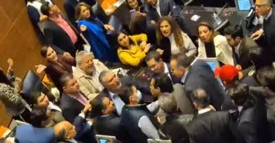 Protagonizan «bochornosa» trifulca en el Senado