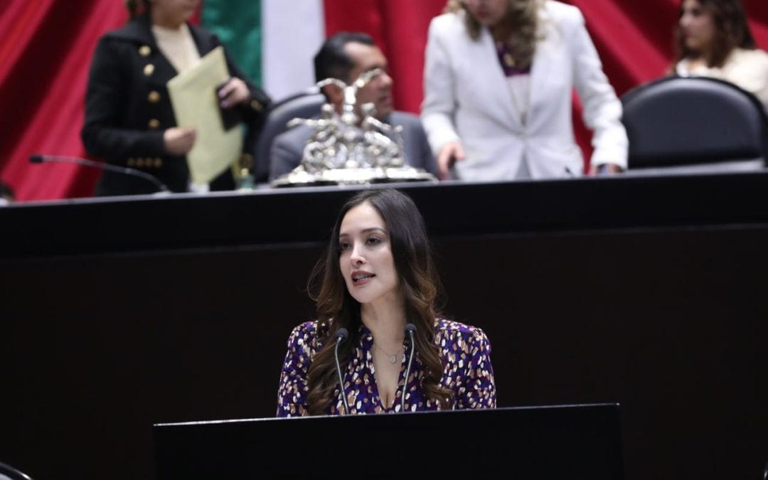 Exigen diputados a DEFENSA, incrementar seguridad en carreteras