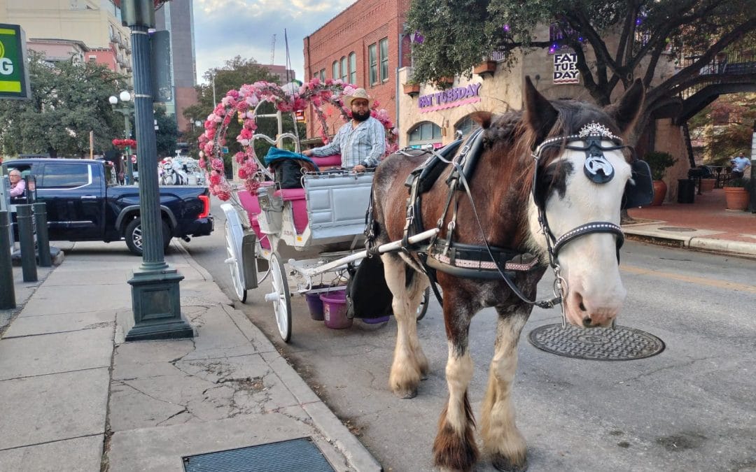 Se van los carruajes de San Antonio