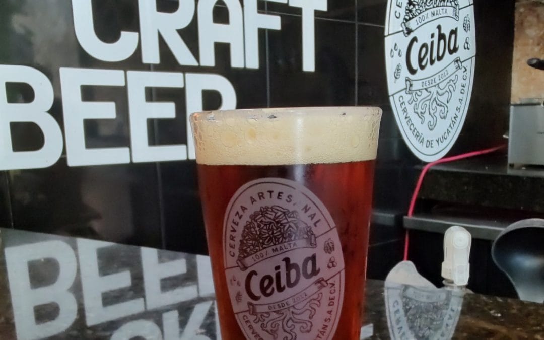 Ceiba la nueva rúbrica de la cerveza yucateca