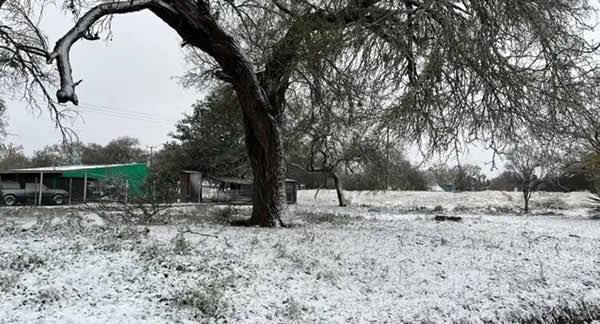 IMG-20250123-WA0011(1)