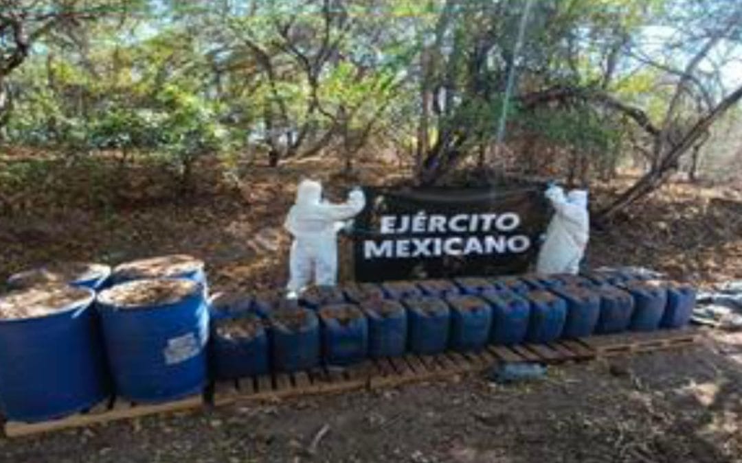 Reportan Resultados de la “Operación Frontera Norte”: Más de 500 detenidos y aseguramientos millonarios