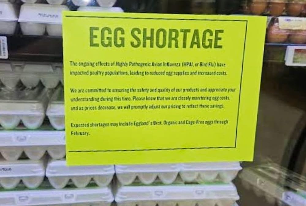 Faltan huevos en Texas