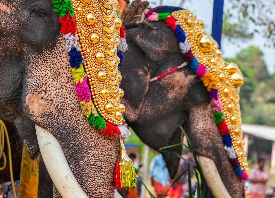 El Elefante de la Suerte o Ganesha una Historia de Prosperidad