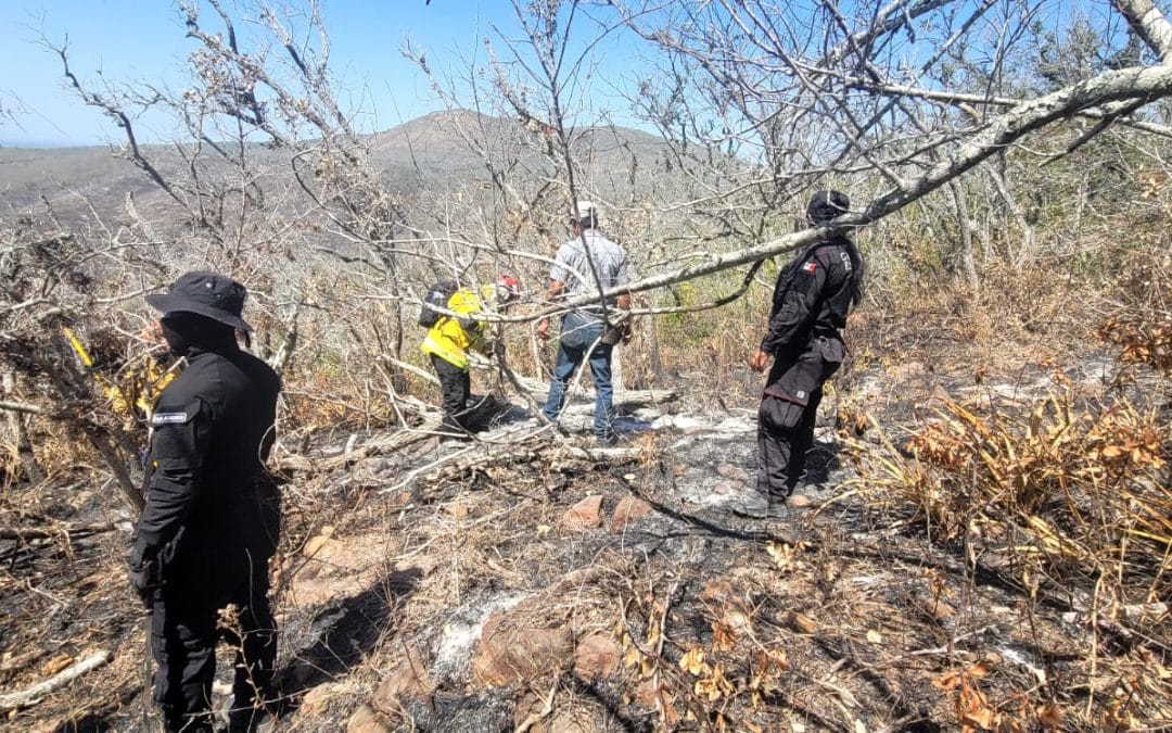 Confirman que incendios en la región cañera fueron provocados