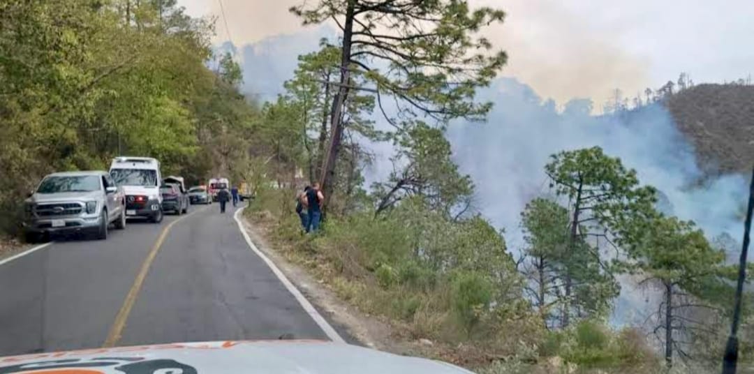 Tragedia en Santiago, Nuevo León: 12 muertos y 4 heridos tras caída de camioneta en barranco