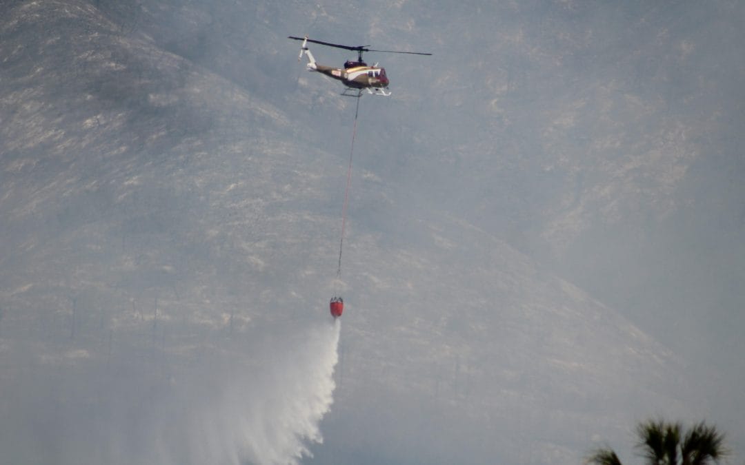 Deja severos daños ola de incendios en Tula, Miquihuana y Jaumave; reportan afectación a fauna y ganado