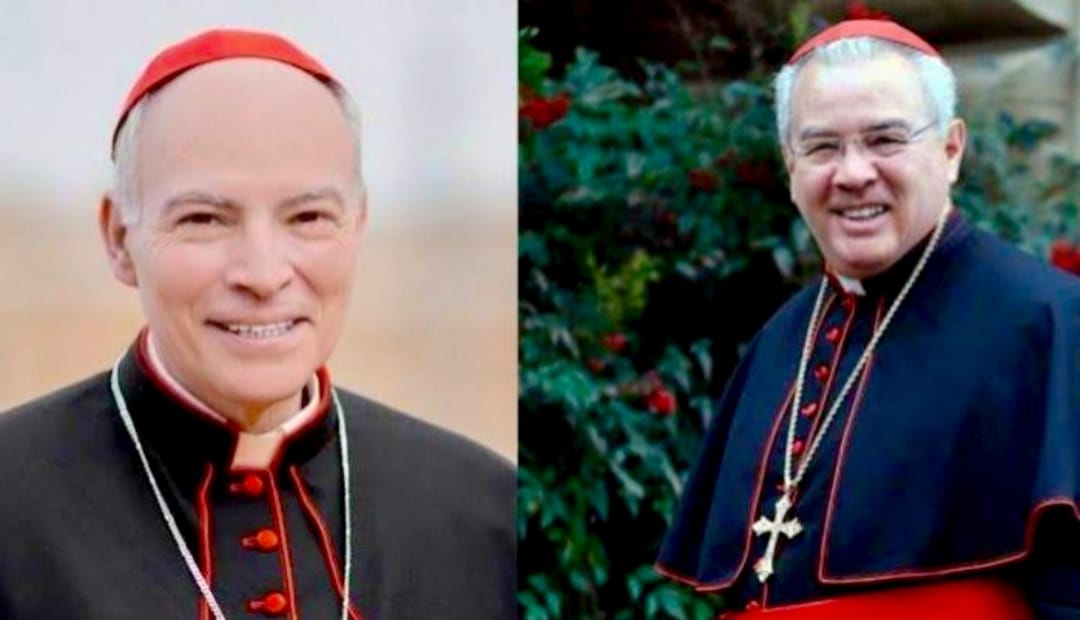 𝗖𝗼𝗻 𝗹𝗮 𝗺𝘂𝗲𝗿𝘁𝗲 𝗱𝗲𝗹 𝗣𝗮𝗽𝗮 𝗙𝗿𝗮𝗻𝗰𝗶𝘀𝗰𝗼, 𝗰𝗿𝗲𝗰𝗲𝗻 𝗹𝗮𝘀 𝗺𝗶𝗿𝗮𝗱𝗮𝘀 𝗵𝗮𝗰𝗶𝗮 𝗹𝗼𝘀 𝗰𝗮𝗿𝗱𝗲𝗻𝗮𝗹𝗲𝘀 𝗺𝗲𝘅𝗶𝗰𝗮𝗻𝗼𝘀