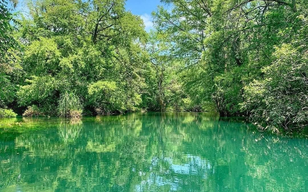 Gana premio turístico nacional Reserva de la Biosfera El Cielo
