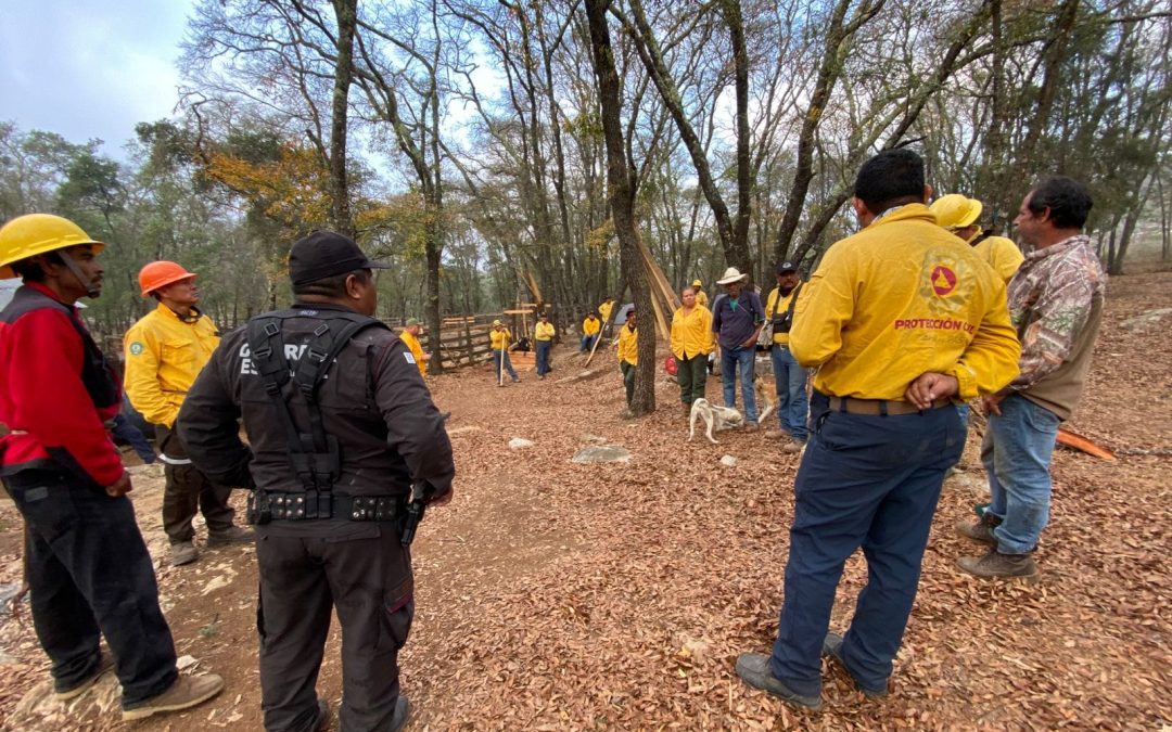Se suma Guardia Estatal al combate del incendio forestal en la Biósfera El Cielo