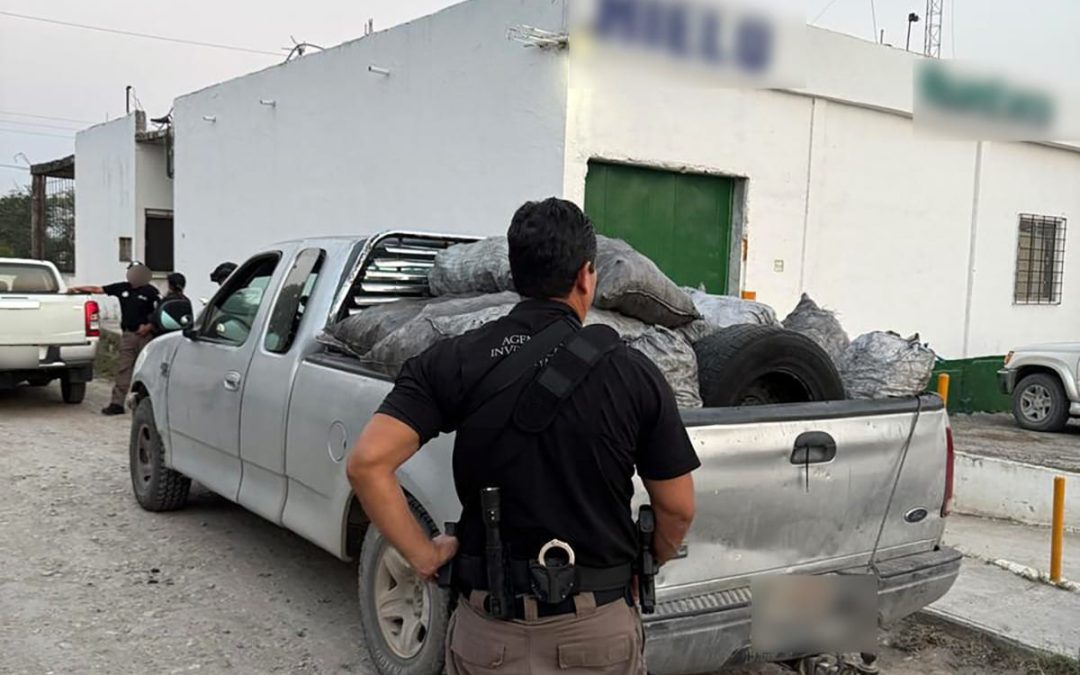 Asegura FGR 14 toneladas de carbón en cateo por delitos contra la biodiversidad