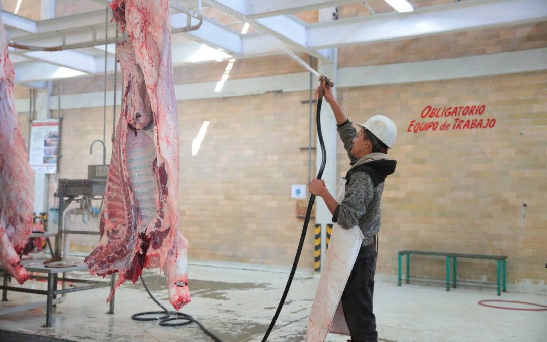 Refrenda Nuevo Laredo estatus sanitario internacional en su rastro municipal