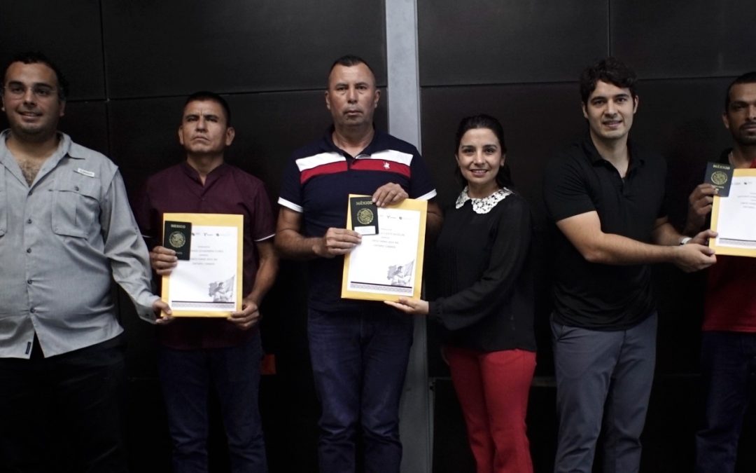 Impulsa Secretaría del Trabajo y Previsión Social movilidad laboral, tamaulipecos parten a Canadá con contrato agrícola