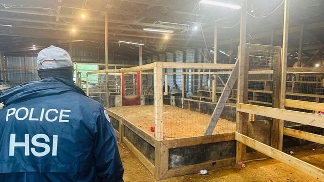 Implica redada en Alabama a ocho tultecos en red de apuestas ilegales