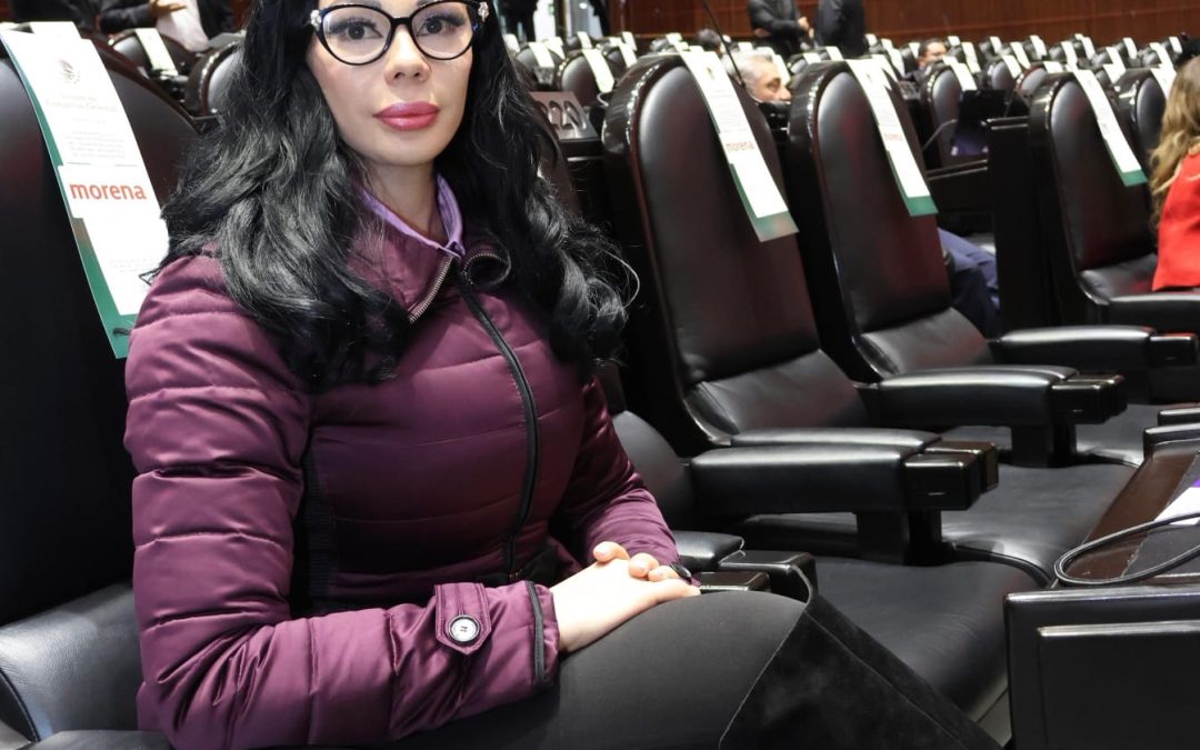 Impulsa diputada Giselle Arellano reformas clave para México