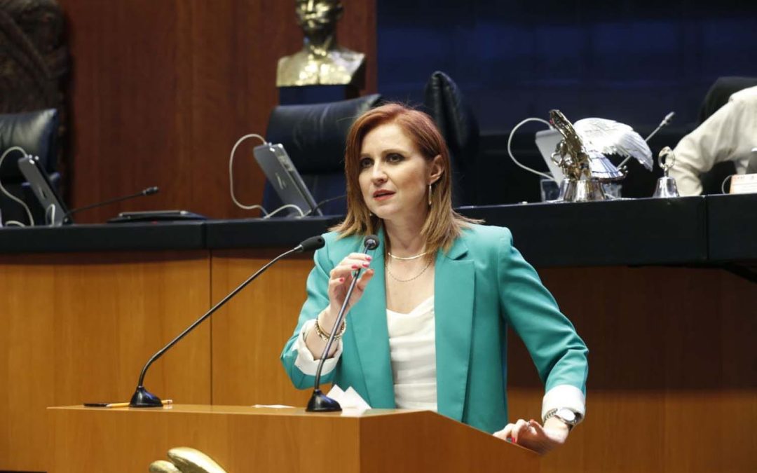 Imelda Sanmiguel arremete contra dictamen de telecomunicaciones: “Atenta contra la libertad de expresión”