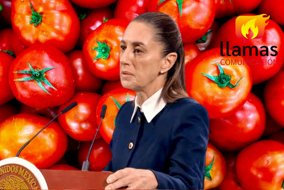 Sheinbaum rechaza arancel de Estados Unidos al jitomate mexicano