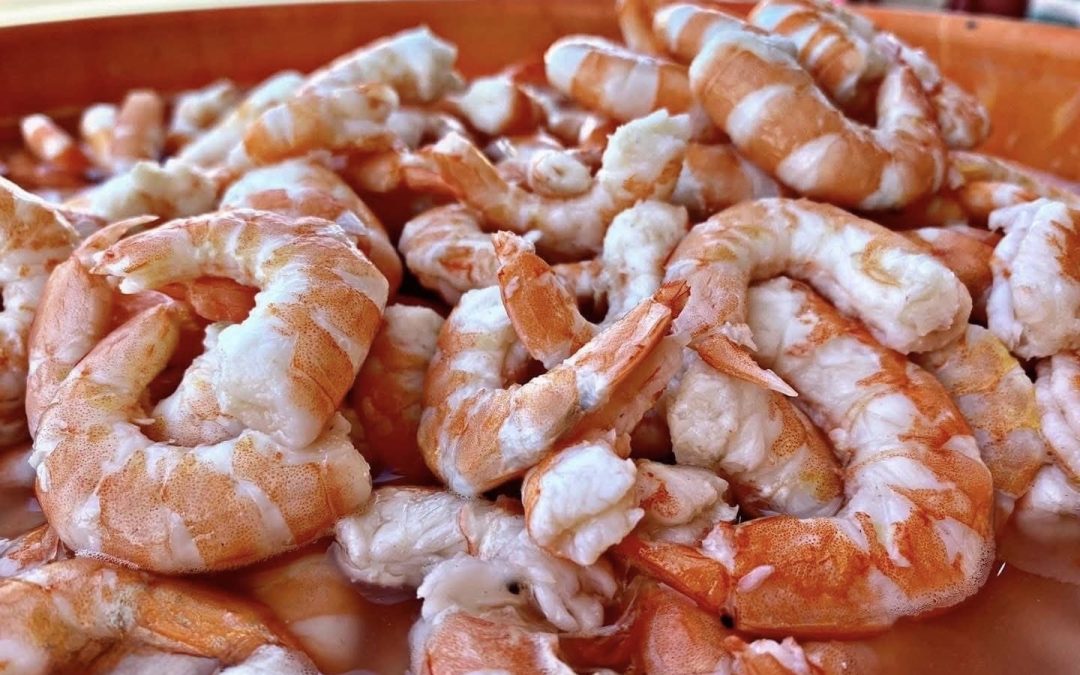 Conquista Soto la Marina con sabor y se posiciona como destino turístico emergente